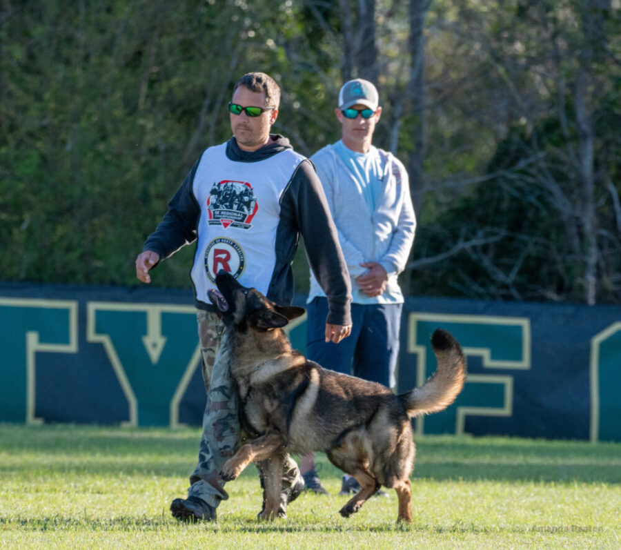 Dog Trainer Tampa FL