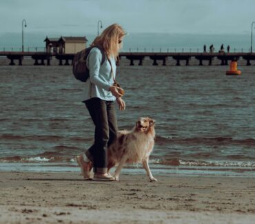 obedience training for dogs Tampa