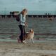 obedience training for dogs Tampa